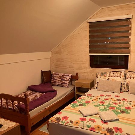 Apartmani Rada 兹拉蒂博尔 外观 照片