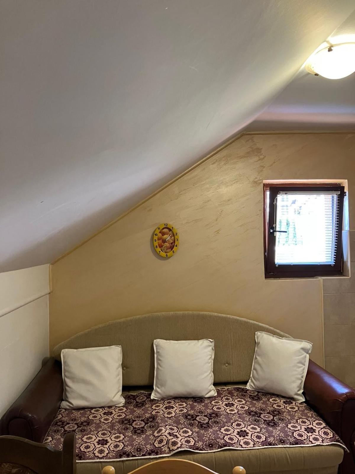 Apartmani Rada 兹拉蒂博尔 外观 照片