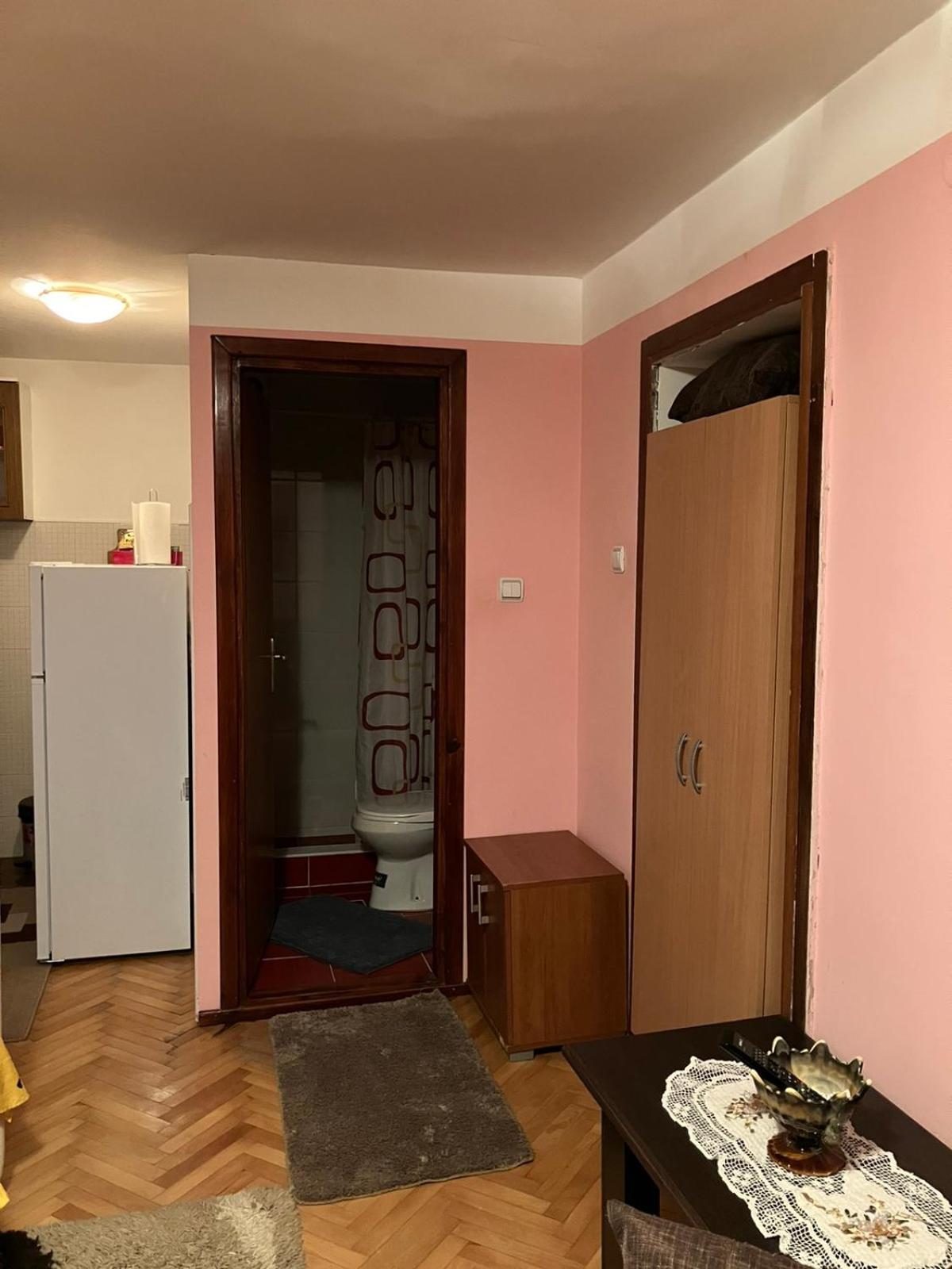 Apartmani Rada 兹拉蒂博尔 客房 照片
